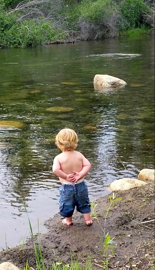 Sequoia River Front Cabins