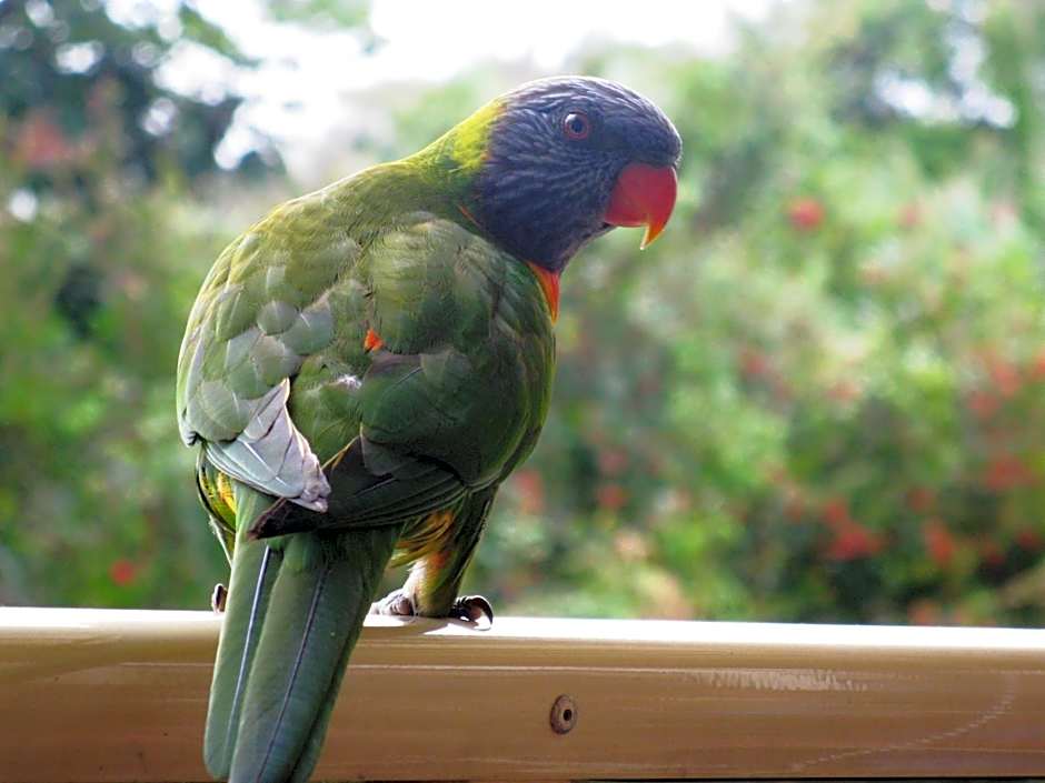 Edgewater Holiday Park