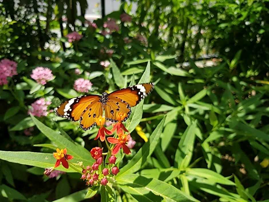 La Fleur BnB & Restaurant