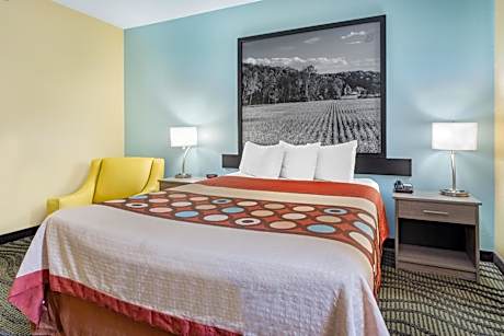 1 Queen Bed Mobility Accessible Room Non-Smoking