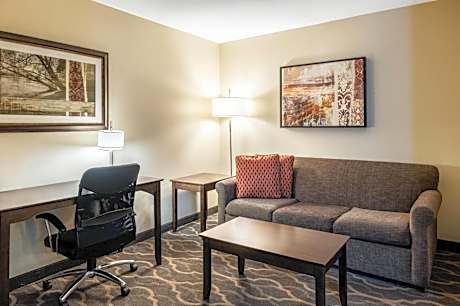 QUEEN BED-STUDIO SUITE-ACCESSIBLE-NON SMOKING