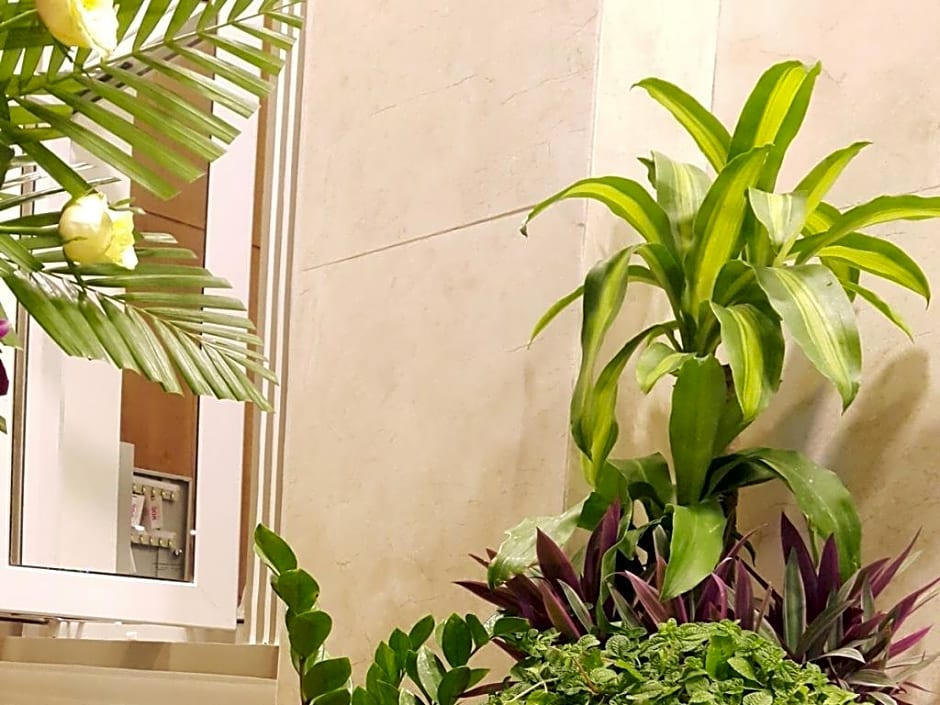 Hong Mai Hotel Nha Trang