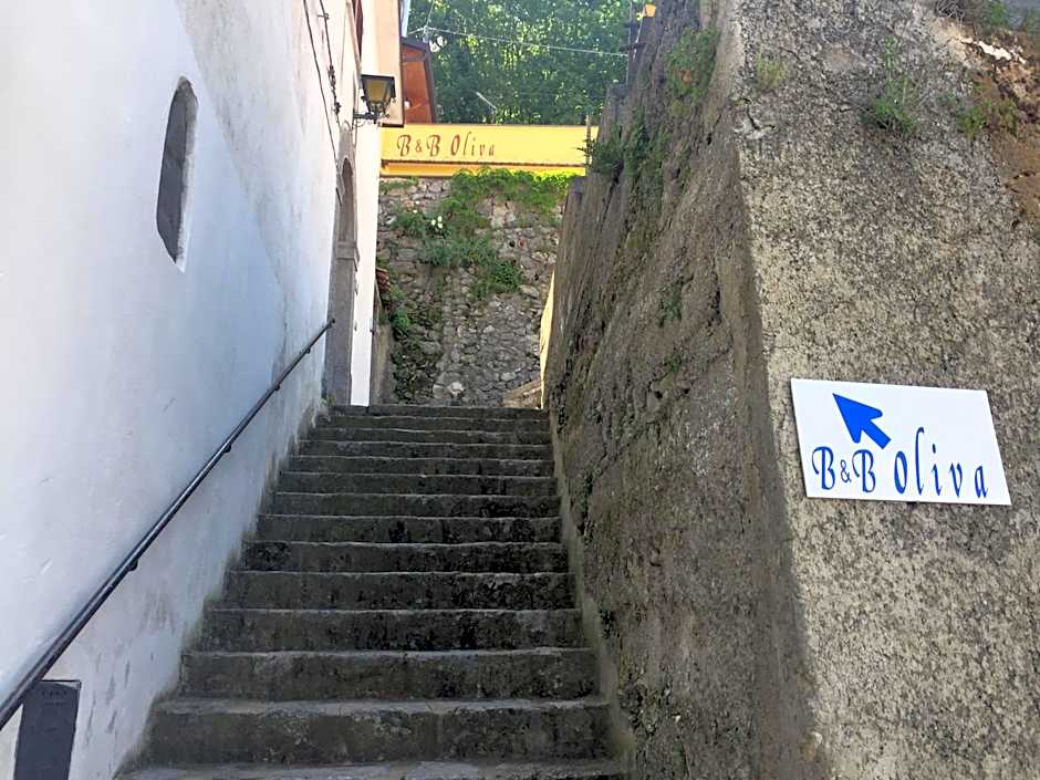 B&B Oliva