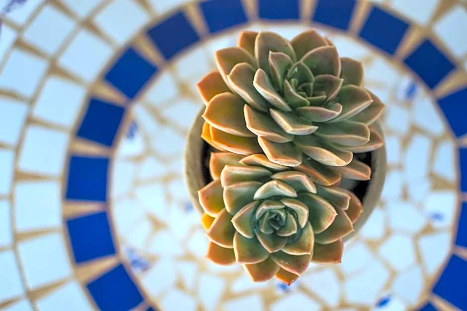 The Post House Hotel - no children under the age of 16yrs