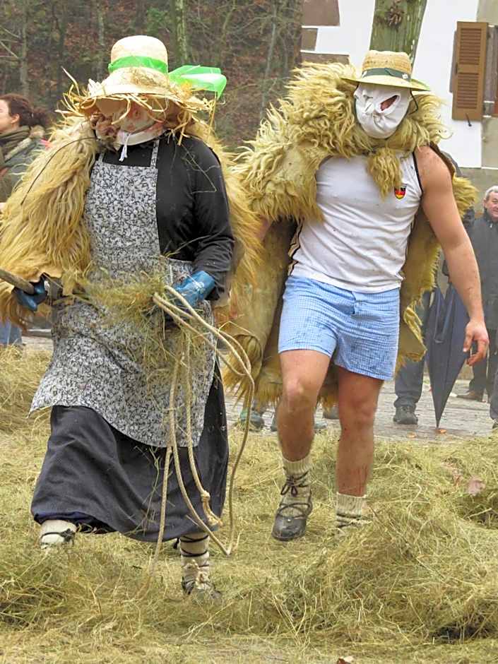 Albergue Olasenea Aterpea