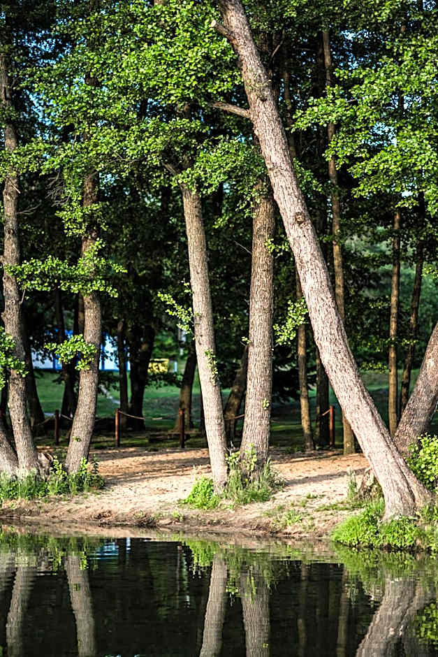 Zacisze,pl Domki Premium i Bungalowy Deluxe nad Jeziorem Łagowskim