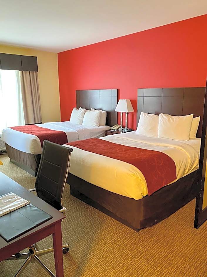 Comfort Suites Rock Hill Manchester Meadows Area