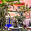 Riad Carole - Perfect for Families & Groups