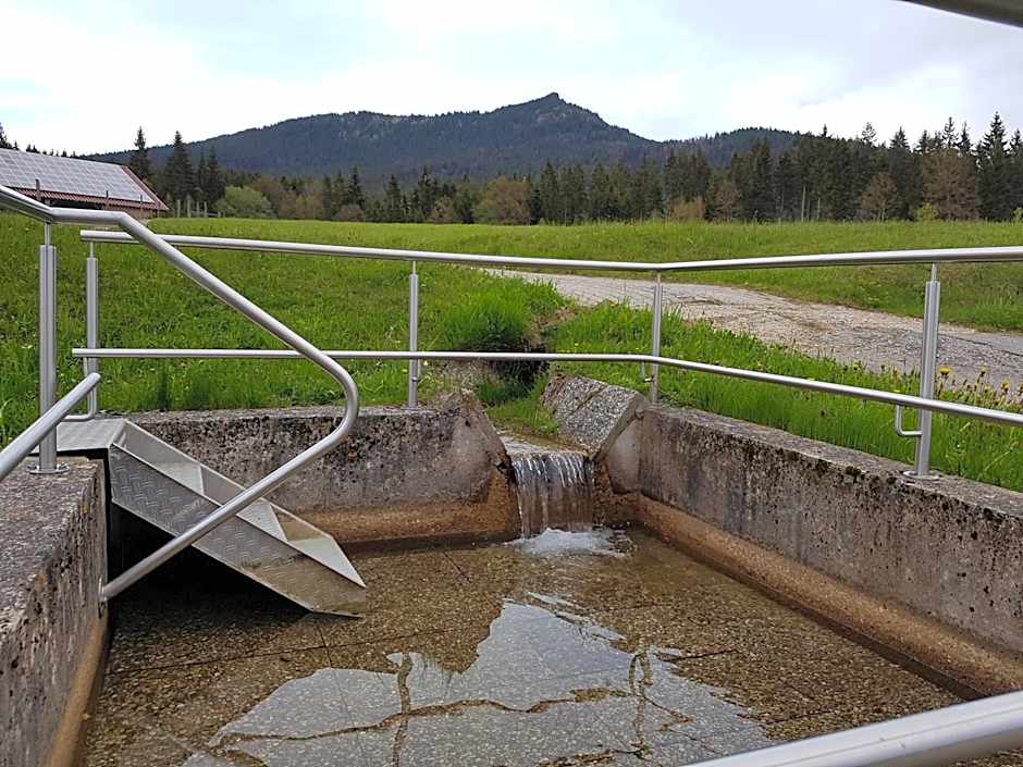 Osserhotel - B&B am Osser