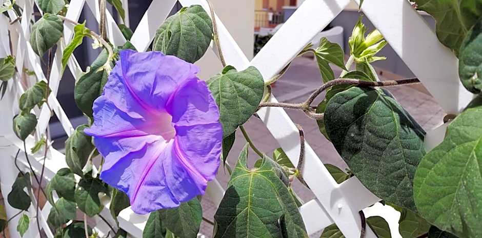 AMARE MATERA comfortable rooms