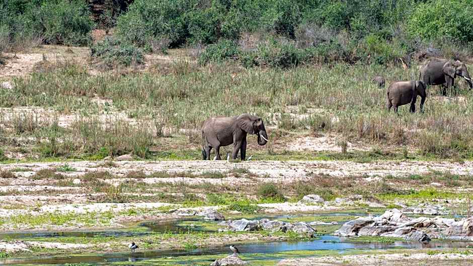 Foxy Crocodile Bush Lodge & Kruger Safaris