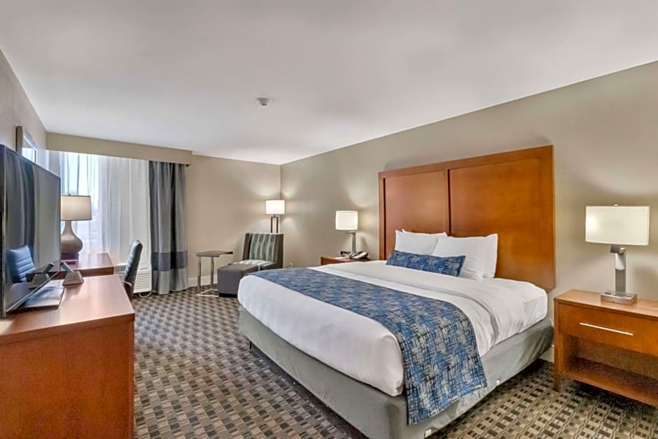 Best Western Plus Greenville I-385 Inn & Suites