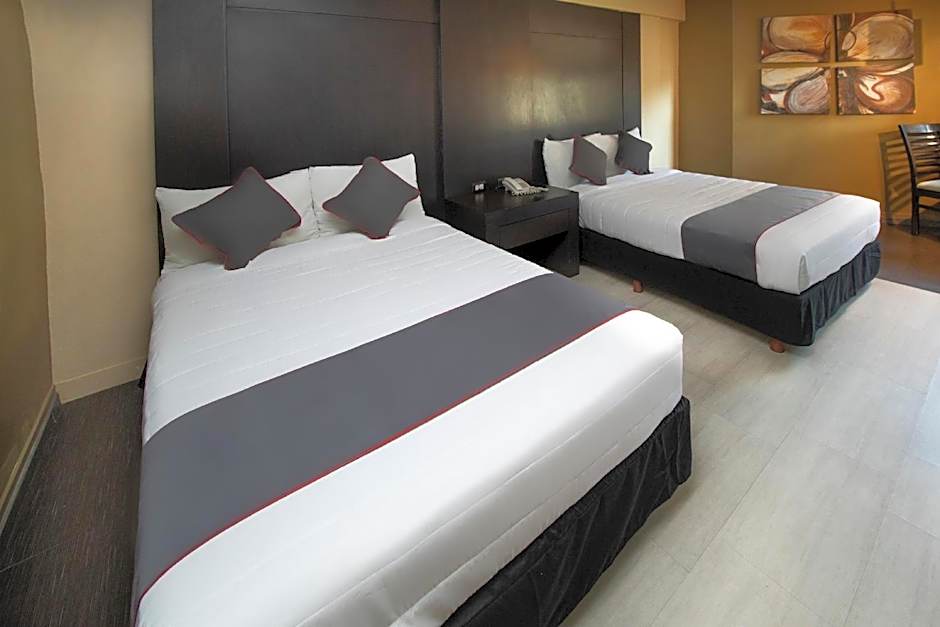 Collection O Las Iglesias