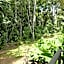 The Summit Rainforest Retreat