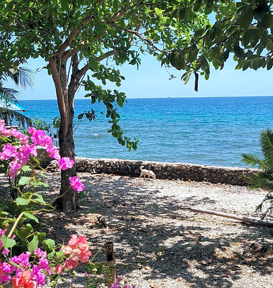 Paseo Del Mar Seaside Inn