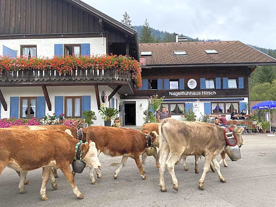 Nagelfluhhaus Hirsch