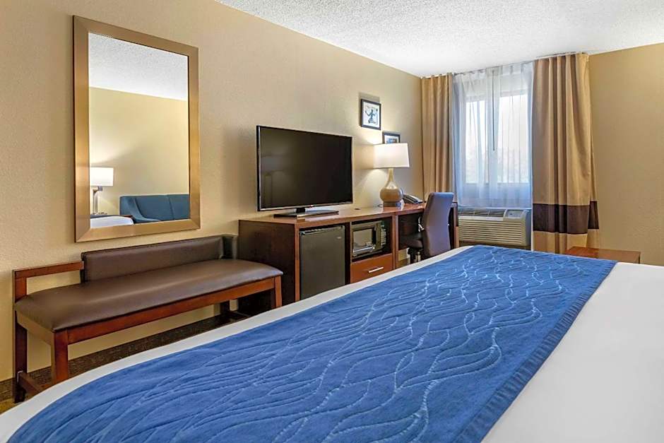 Comfort Inn Near Greenfield Village