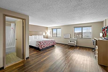 Suite King Room Non-Smoking