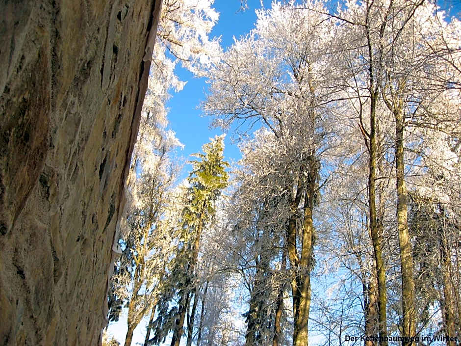 Landgasthof Spitzerwirt