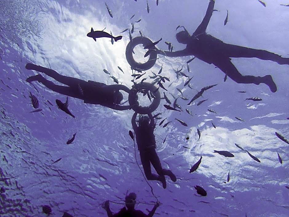 Good Viewing Spot B&B