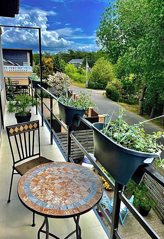 SURF HOUSE DREAMERS COAST