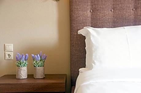 Triple Room Ground Floor with Garden & Meteora View