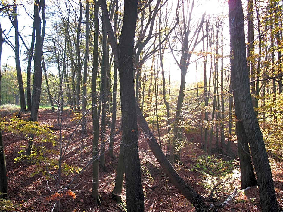 Hotel-Café "Schauinsland"
