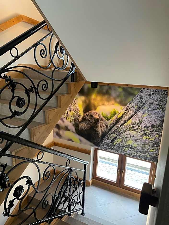 Willa Królewska - Wellness SPA - widokowe Pokoje i Apartamenty