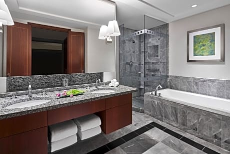 Room Accesible Deluxe 