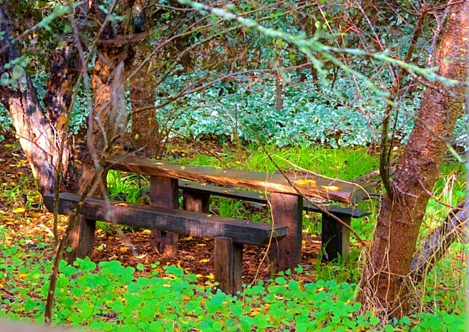 Black Cockatoo Lodge