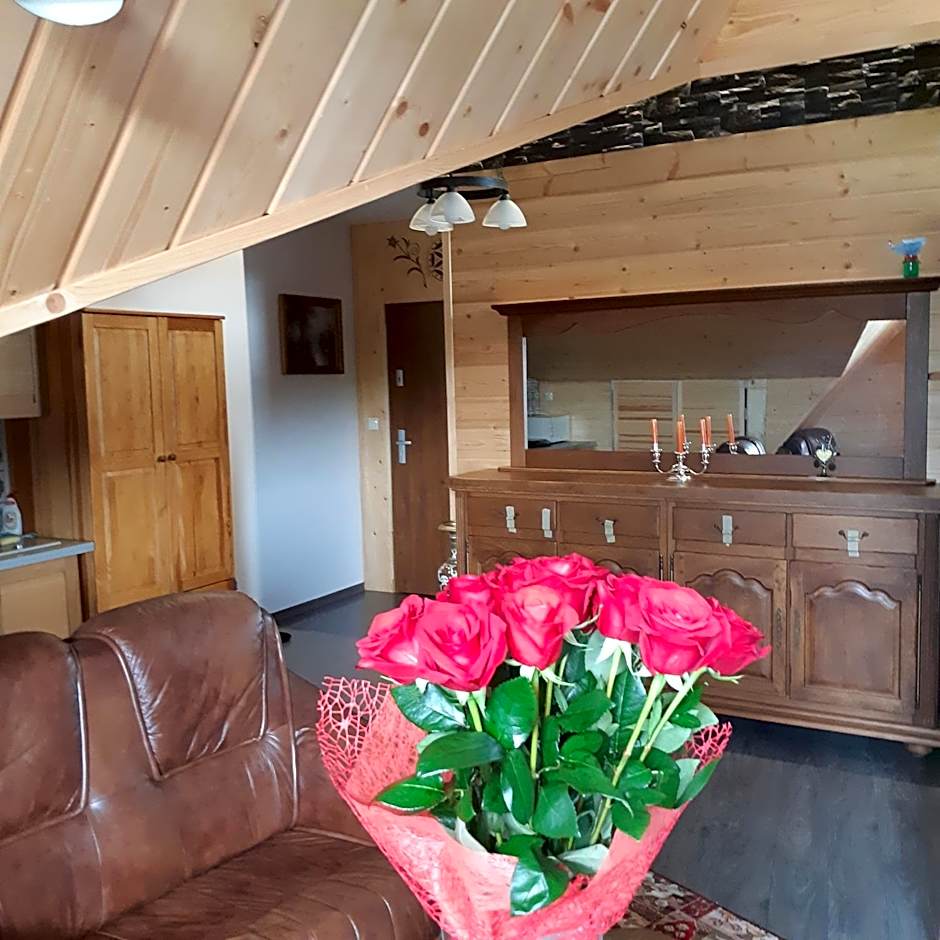 Apartamenty i pokoje gościnne Nowita