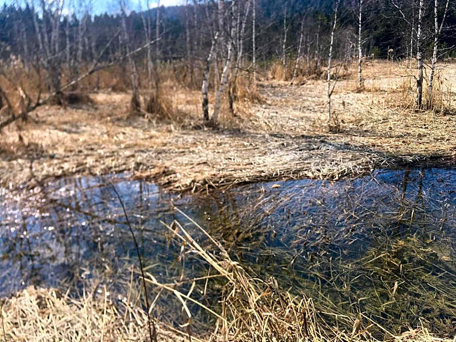 LakeSide Apartments Seefeld