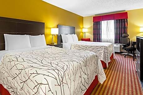 Queen Room with Two Queen Beds - Non-Smoking