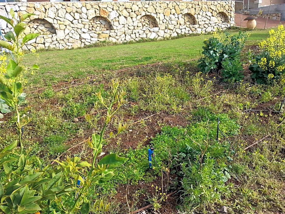 Sanabl Druze Hospitality