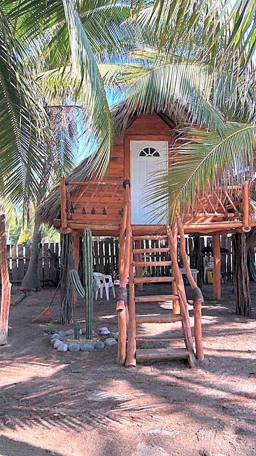 Casa Lians