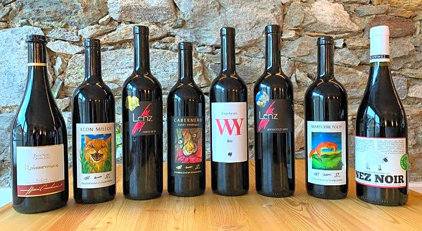 Bed&bike Tremola San Gottardo