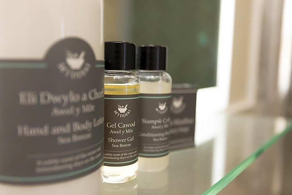 The Town Crier, Tenby