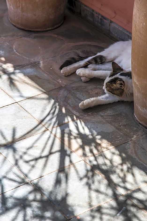 Riad Danka