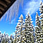 Hotel Jelka Pokljuka