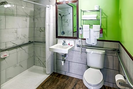 1 King Bed, Nonsmoking