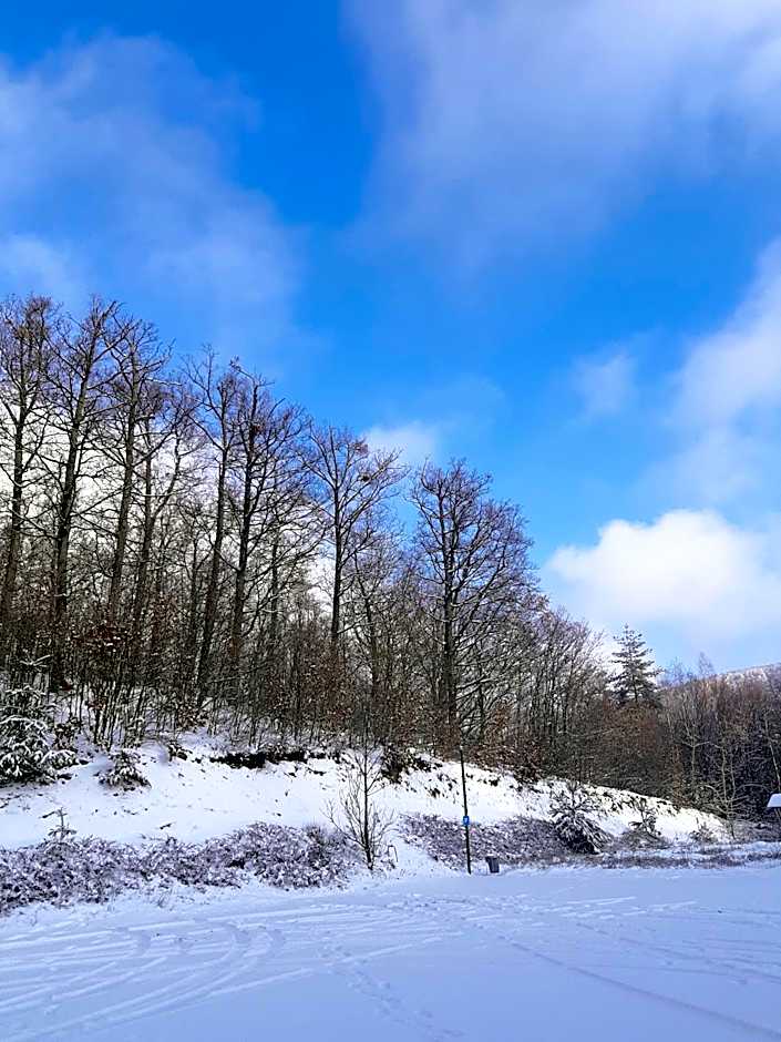 Rókabérc Vadászház Hotel