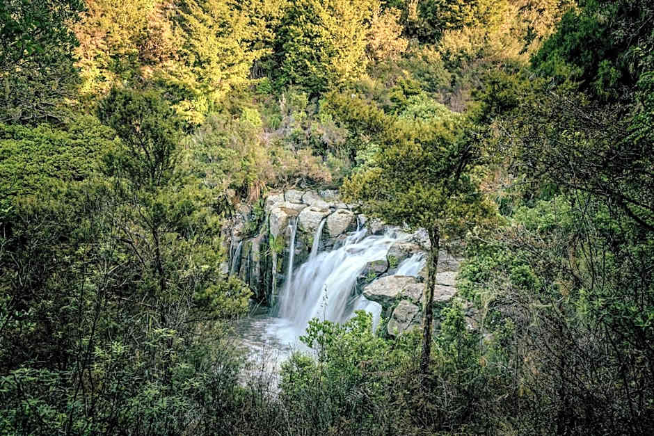 Rosewood Kauri Cliffs