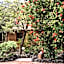 Alma do Pico - Nature Residence