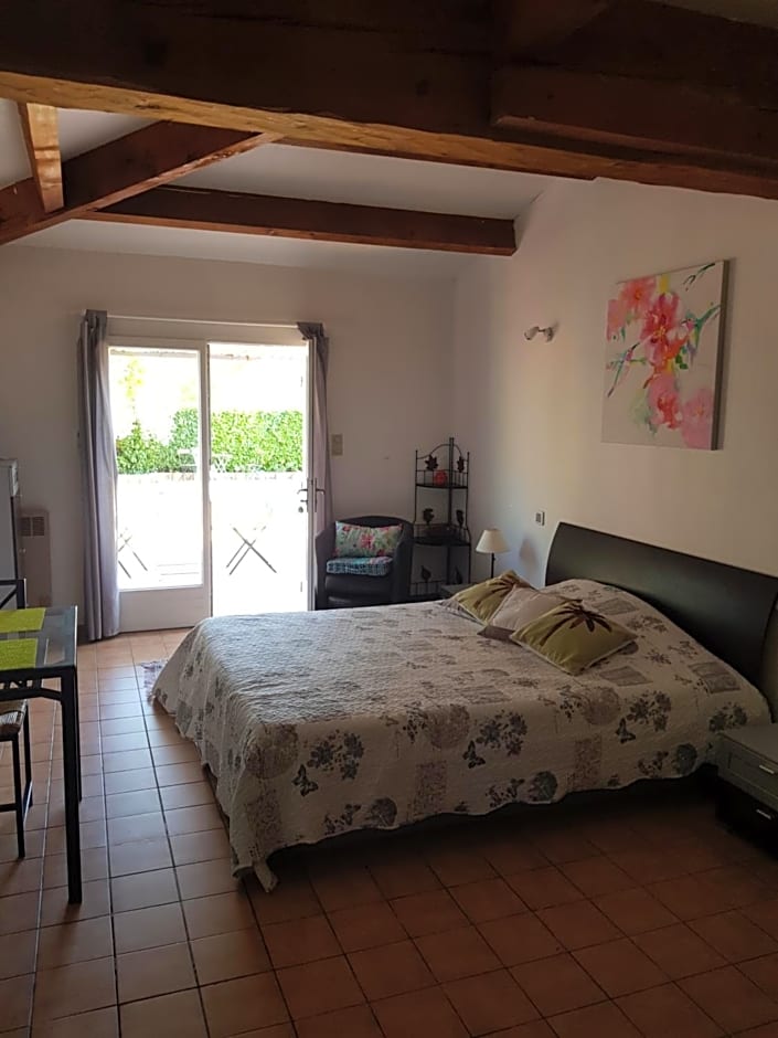 Le Mas de Cocagne - Gite et Chambre d'hôte - Piscine et SPA