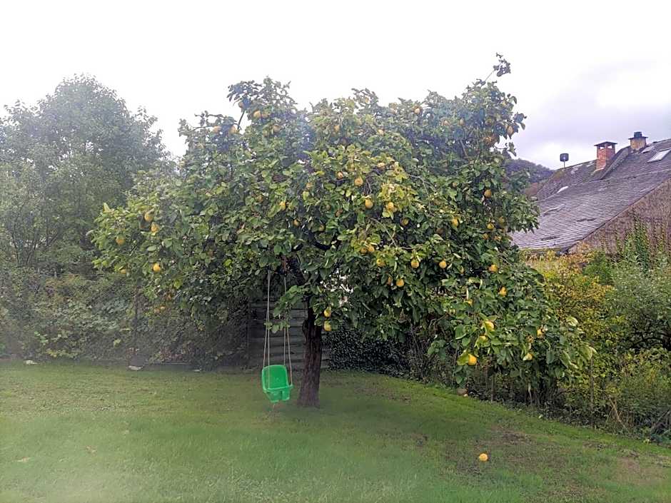 Monkey Factory - Mini Home-Stay Hostel