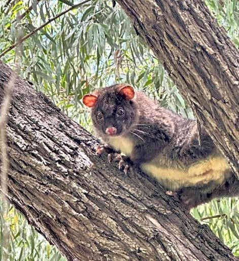 Sandy Bay Holiday Park