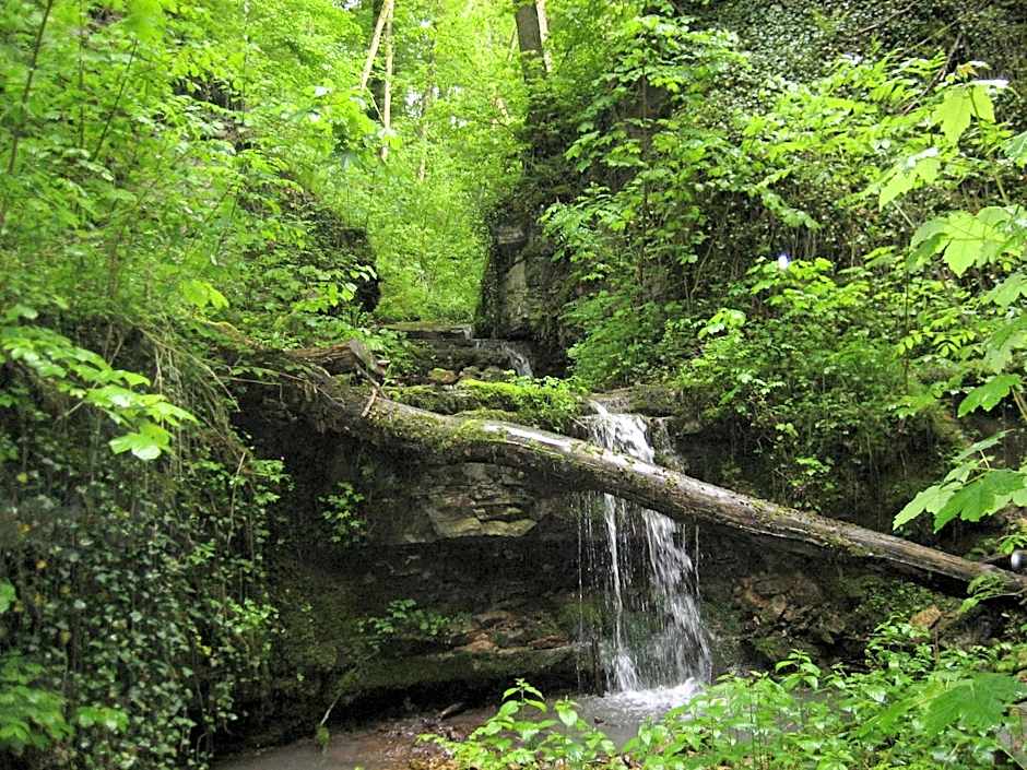 Hotel Krone Stühlingen - Das Tor zum Südschwarzwald