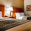 Comfort Inn Metro Airport Romulus