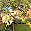 B&B Villa Maria - Martelletto di Settingiano