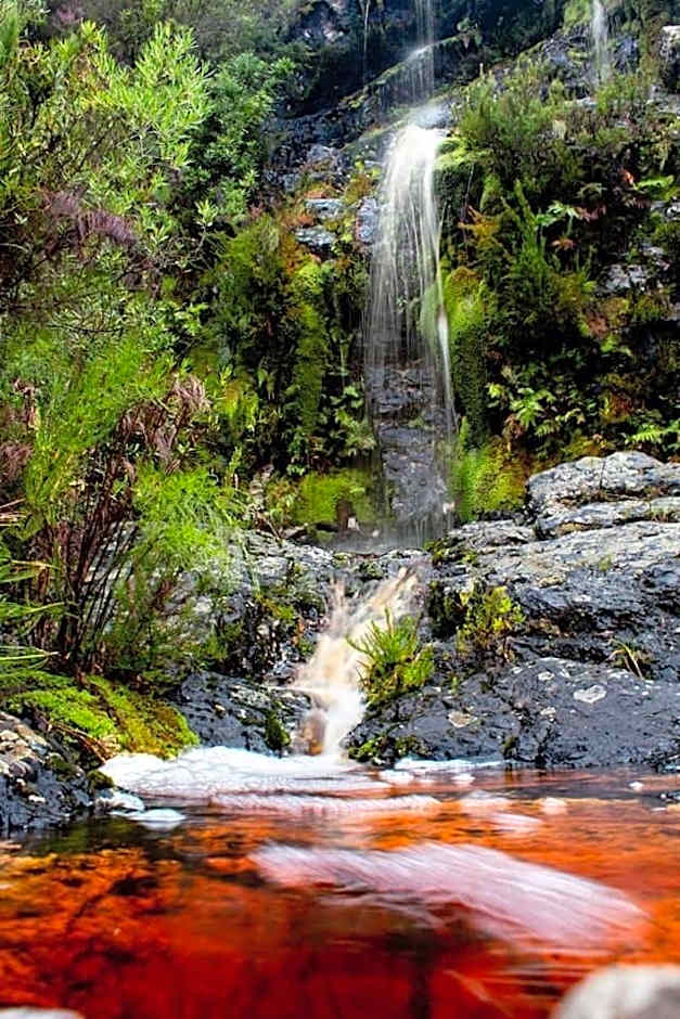 Somerset Gift Getaway Farm